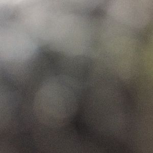 Meet your Posher, Deanna